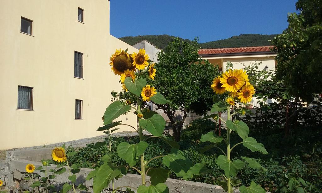 Il Giardino Di Julia B&B Tortora Exterior photo