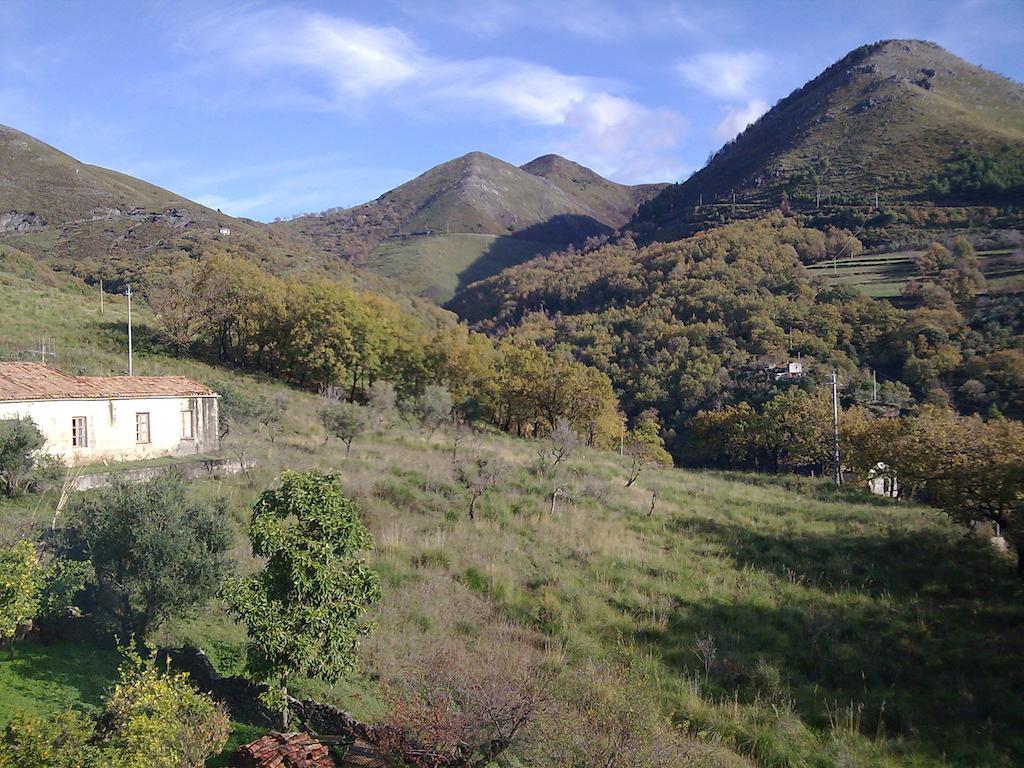 Il Giardino Di Julia B&B Tortora Exterior photo