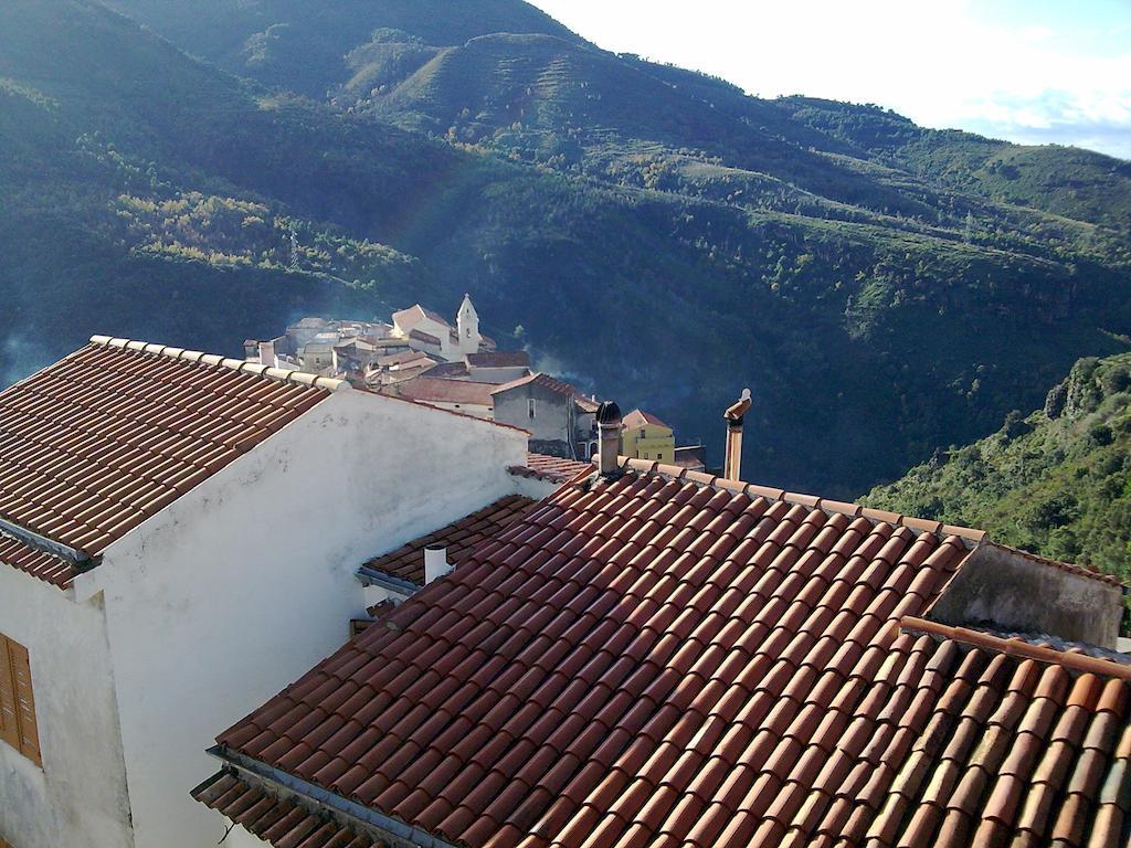 Il Giardino Di Julia B&B Tortora Exterior photo