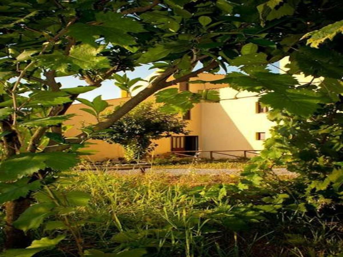 Il Giardino Di Julia B&B Tortora Exterior photo